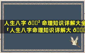 人生八字 🌲 命理知识详解大全「人生八字命理知识详解大 🍁 全视频」